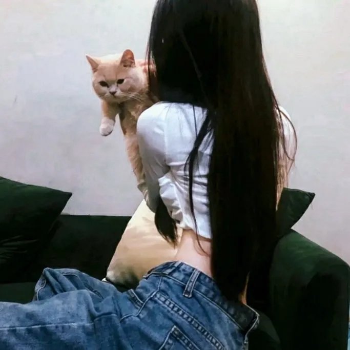 合租男女